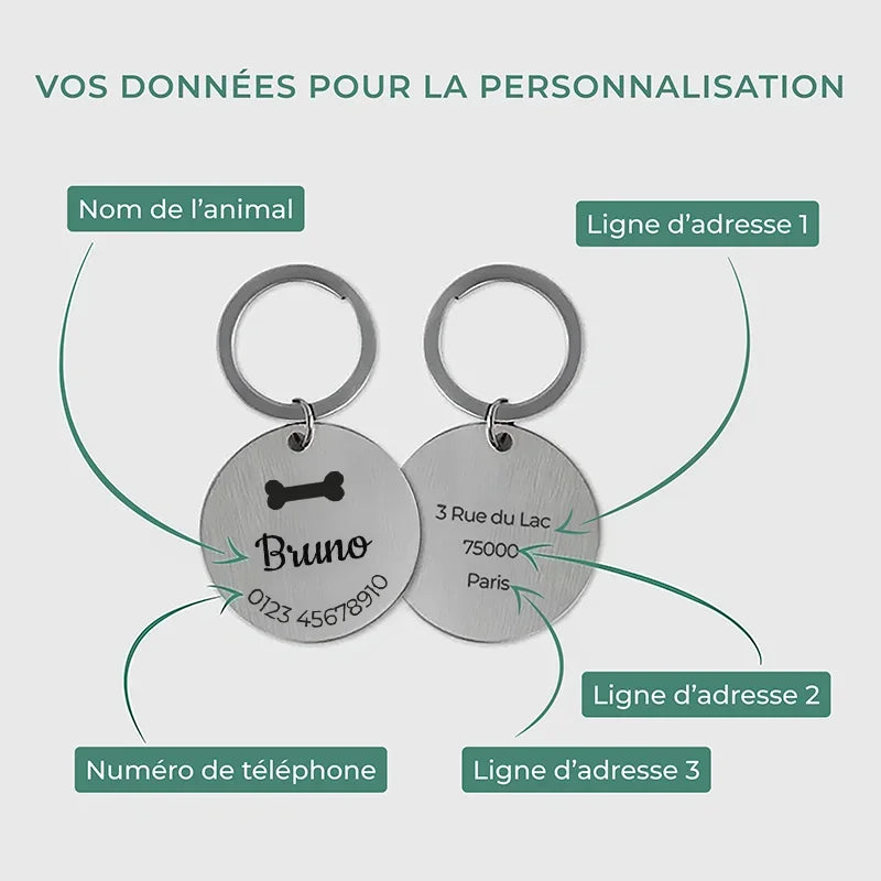 Médaille pour chien personnalisée avec gravure – Plaque d'identification argentée - Image 7
