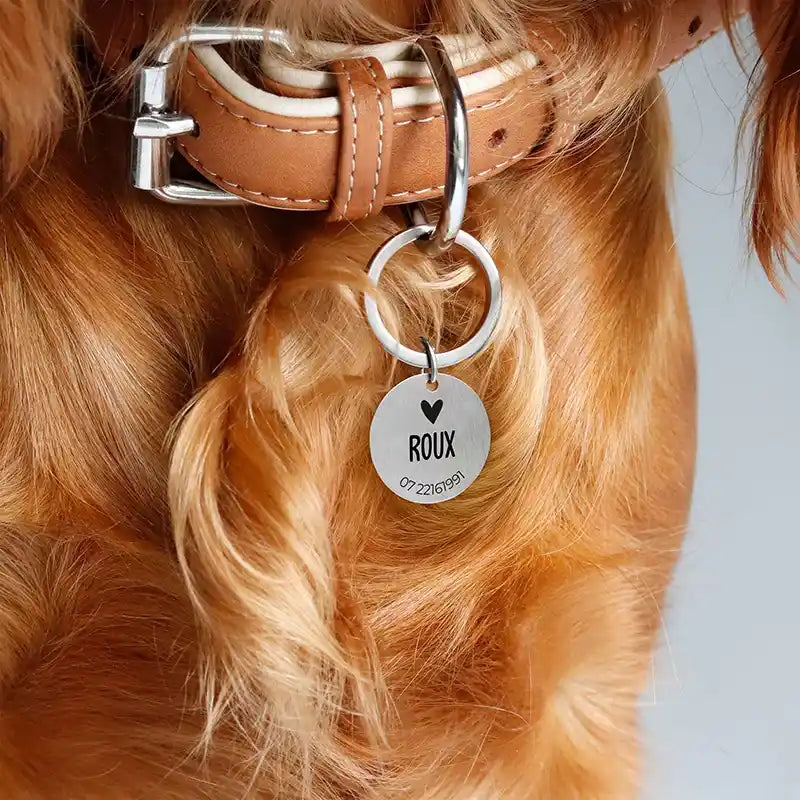 Médaille pour chien personnalisée avec gravure – Plaque d'identification argentée - Image 6