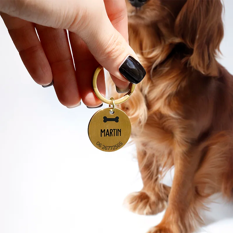 Médaille pour chien personnalisée avec gravure – Plaque d'identification dorée - Image 2