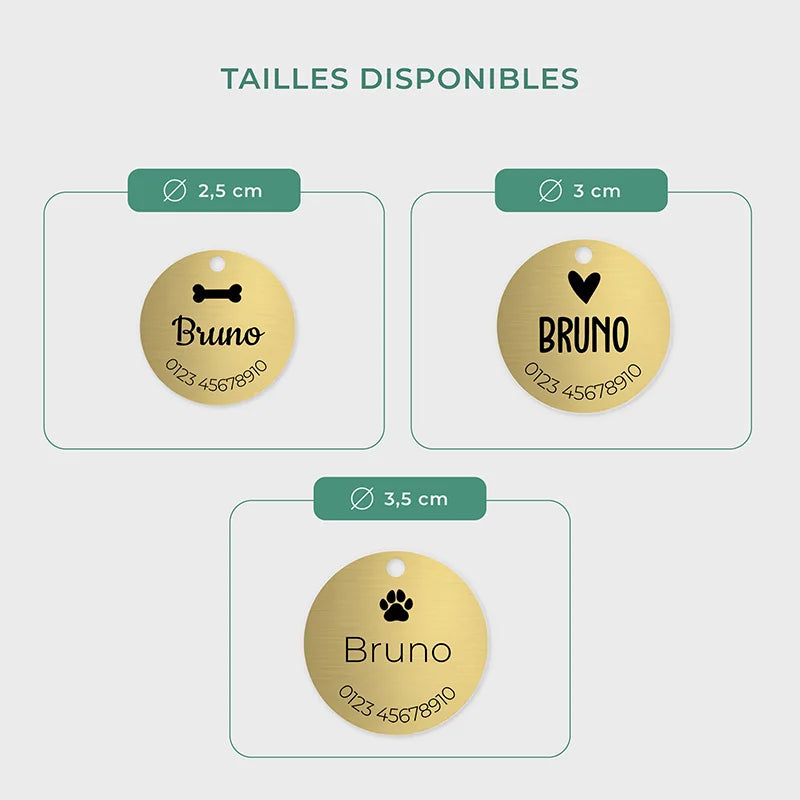 Médaille pour chien personnalisée avec gravure – Plaque d'identification dorée - Image 3