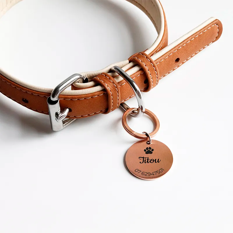 Médaille pour chien personnalisée avec gravure – Plaque d'identification rose - Image 10