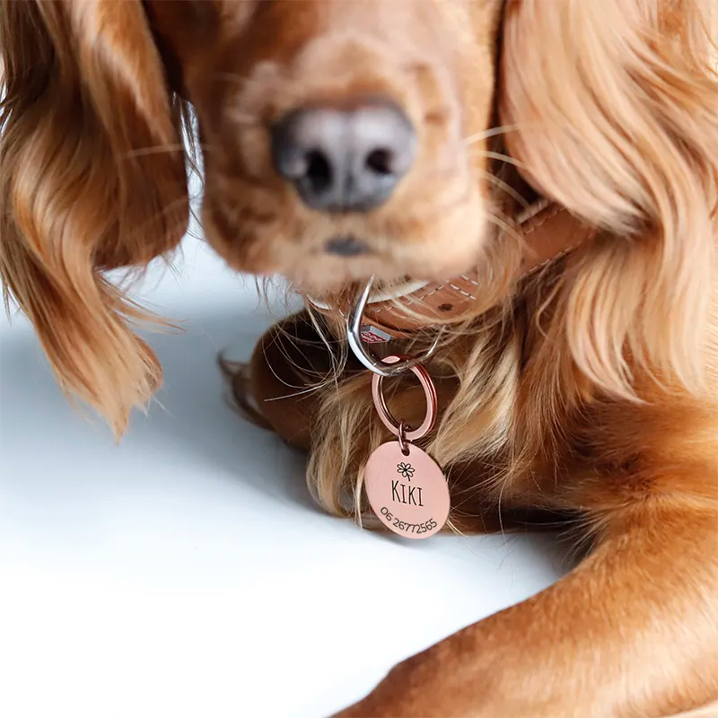 Médaille pour chien personnalisée avec gravure – Plaque d'identification rose - Image 8
