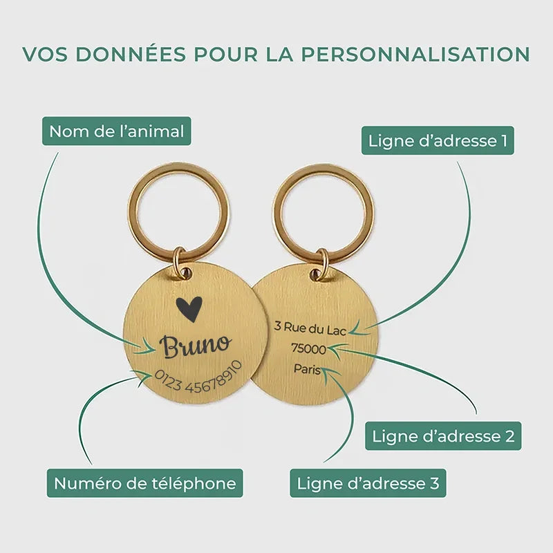 Médaille pour chien personnalisée avec gravure – Plaque d'identification dorée - Image 7