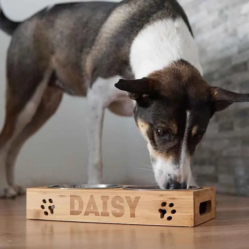 Porte-gamelles pour chien personnalisée - Image 4