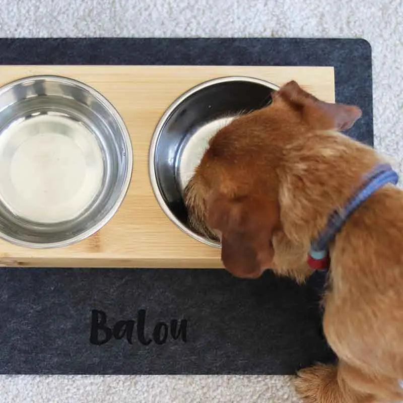 Porte-gamelles pour chien personnalisée - Image 6