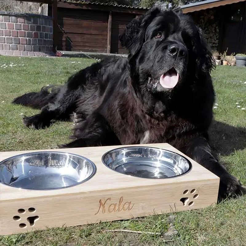 Porte-gamelles pour chien personnalisée - Image 7